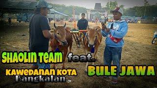 SHAOLIN TEAM feat. BULE JAWA RENG ENJOY - KARAPAN SAPI MADURA