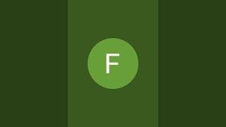 Fun Zone is live!