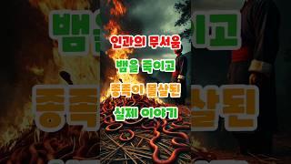 뱀을 죽이고 종족이 몰살된 실화. #실화 #부처님 #인과 #불교 #이야기 #재밌는 #마음공부 #인연 #지혜 #옛날 #명상