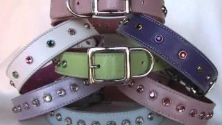 Custom Leather Dog Collars