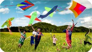 Tony | Dẫn Team Ra Đồng Thả Diều - Fly A Kite