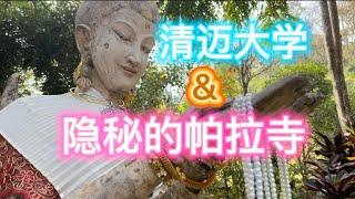 清迈素贴山一日游（上）：清迈大学&帕拉寺