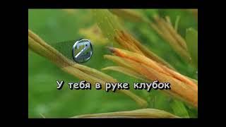 Звёздные 90-е ч1 (for Илья Кирсанов)