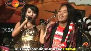 Cindro - Indah Andira | Dangdut (Official Music Video)