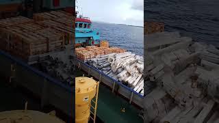 Barge Vessel Unloading Operation #shorts #barge #vessel #Ship #export #unloading #import #operation