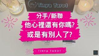 -Tinya Tarot-{分手 斷聯}他心裡還有你嗎?或是有別人了?無時間限制