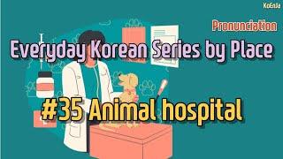 #35 Animal hospital - Everyday Korean Series by Place (Pronunciation)