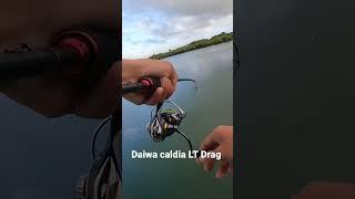 Daiwa Caldia LT drag Sound #daiwa #saltwaterfishing #bigfish #fishing #landbasedfishing #shorts