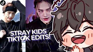 VTuber Reacts to Stray Kids TIKTOK【CHAOTIC MOMENTS】