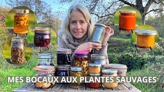 Mes bocaux de plantes sauvages