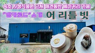 속초 자생식물원 구경하고 가기좋은 애견동반 가능한 베이커리 카페 “어 리틀 빗”