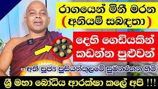 යකුන් ලවා කුඹුරු අස්වද්දන අනුරාධපුර පුසියන්කුලමේ හාමුදුරුවෝ සමඟ විශේෂ සාකච්ඡාව | SUMANARATHANA THERO