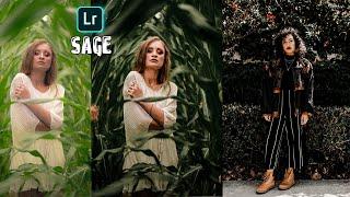 Sage preset | Lightroom mobile tutorial | by VAIBHAV 0045