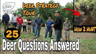 25 Advanced Deer Hunting And Habitat Strategies