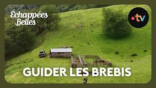 The farms of Nouvelle-Aquitaine: Miren's Sheepfold