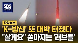 개발 끝나지도 않았는데…"명품 무기" 쏟아지는 K-방산 '러브콜' (자막뉴스) / SBS