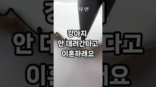 강아지 안 데려간다고 이혼하래요
