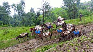 Unseen life in Rural Nepal | Traditional life in Western Nepal | Primtive Lifestyle