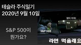테슬라 주식일기, 20년 9월 10일, S&P 500이 뭐죠?