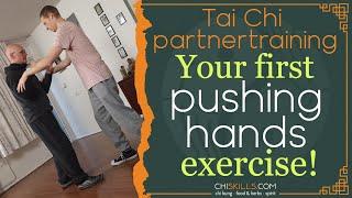 TAI CHI: Pushing hands? Start here!