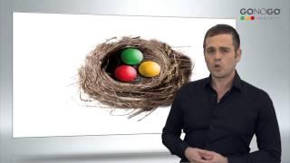 תוכנית עסקית | מבנה הארגון, ניהול וכוח אדם