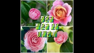 민정채널[좋은글/짧은글 모음/이해인 시]