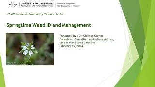 Springtime Weed ID and Management