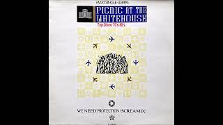 Picnic At The White House - We Need Protection (Screamix)