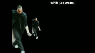 Fanzi quan  "gun shan fan".