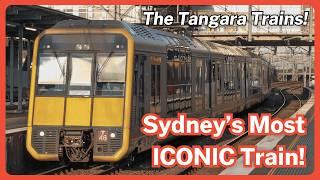 The Tangara’s - Sydney’s Most Iconic Train!