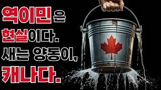 역이민은 존재한다? '새는 양동이' 보고서 심층 분석 | The Leaky Bucket 2024