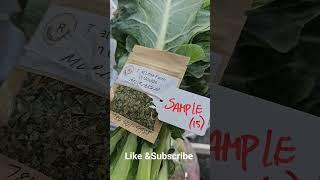 Sample Bunch #collardgreens #sample #restaurant #delivery #veteran #farmer #growfood #miami