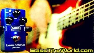 MXR M288 BASS OCTAVE DELUXE DEMO | BassTheWorld.com