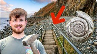 We Found Perfect Ammonites Scattered Across This Wild Pebble Beach!