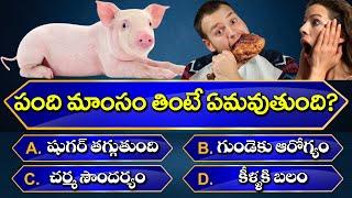 Top 100+ Interesting Question & Answers  || Most Useful General Knowledge || Infinity Knowledge