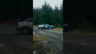 Welcome to Forest Experience Scotland