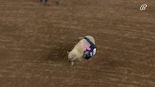 Mutton Bustin' 3.04.2022 | RODEOHOUSTON