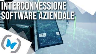 Interconnessione Software Aziendale - ONO Lean Logistics