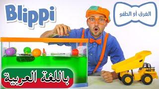 بليبي الغرق أم الطفو + حلقات تعليمية أخرى | بلبي بالعربي | كرتون اطفال  | Blippi Arabic