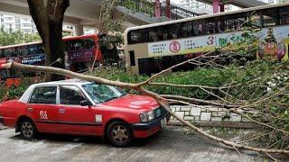 Clean-up in Hong Kong after monster storm