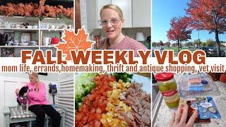 FALL WEEKLY VLOG / MOM LIFE, ERRANDS, HOMEMAKING MOTIVATION, THRIFT AND ANTIQUE SHOPPING, VET VISIT