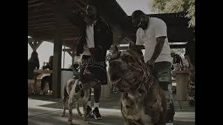 JOEY FATTS - MEMORIES (OFFICIAL MUSIC VIDEO) FT. SEDDY HENDRINX