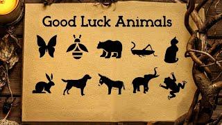  TOP 10 Good Luck Animals: Positive Symbols of Abundance & Success (Spiritual Meanings & Symbolism)