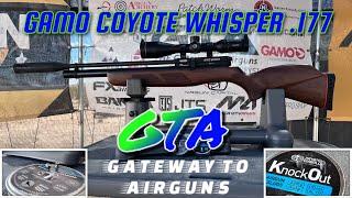 Gamo Coyote Whisper .177 Slugs Vs. Pellets! - Thanks to Gamo USA for their Support!