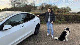 UNNÖTIG? Scheibentönung beim Tesla Model 3 2024: Vorher-Nachher und meine Meinung!