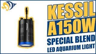 Kessil A150W Special Blend LED Aquarium Light Product Demo