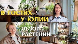 В ГОСТЯХ у Юлии | обзор РАСТЕНИЙ в СТИЛЬНОЙ петербургской КВАРТИРЕ