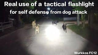 Wurkkos FC12 - Real use of tactical flashlight for self defense from dog attack!