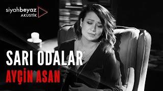 Ayçin Asan - Sarı Odalar (SiyahBeyaz Akustik)