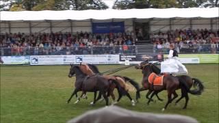 Hengstparade Neustadt (Dosse)